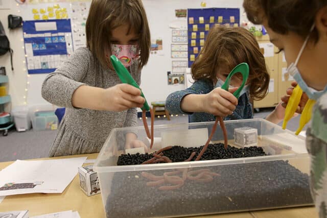 bds kindergarten worms 2 120721scoop